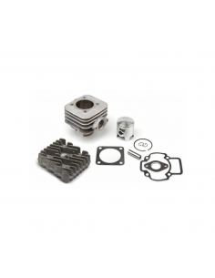 EQUIPO MOTOR TYPHOON 50 A 70CC PISTON D47,6