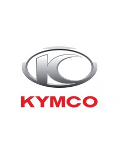 GRUPO ZAPATA FRICCION KYMCO XCITING 400 S E4/E5
