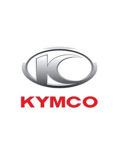 GRUPO ZAPATA FRICCION KYMCO XCITING 400 S E4/E5
