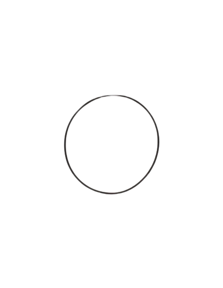 O-RING 2 X 78 MM JUNTA BOMBA DE AGUA