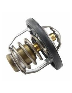 TERMOSTATO - YAMAHA FZ6