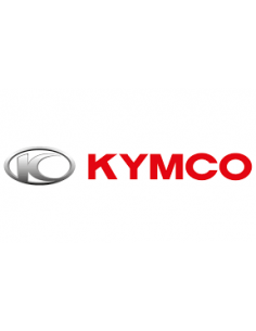 INTERMITENTE DELANTERO IZQUIERDO KYMCO WINKER