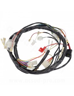 CABLEADO ELECTRICO COMPLETO DERBI