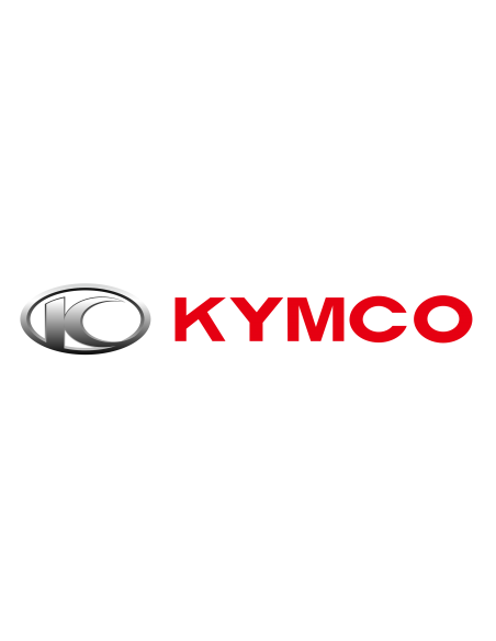 SOPORTE ALETA TRASERA KYMCO SUPERDINK 125