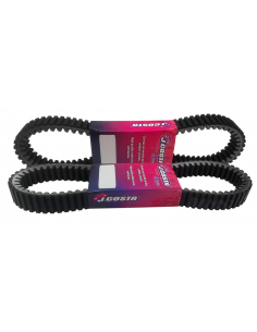 CORREA VARIADORES XRP (YAMAHA T-MAX, KYMCO AK y BMW)