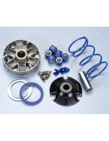 VARIADOR HI-SPEED PIAGGIO (241674)