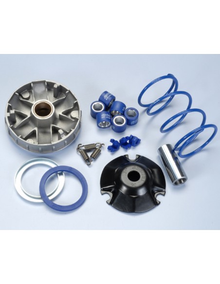 VARIADOR HI-SPEED PIAGGIO (241674)