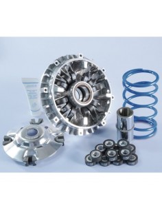 VARIADOR YAMAHA T-MAX 500 12 RODILLOS (2001-2011)