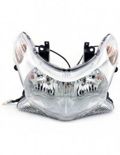 OPTICA COMPLETA HERT HONDA PCX 125 (10-14)