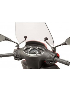 CBRIS.TRAFFIC PIAGGIO MEDLEY 1