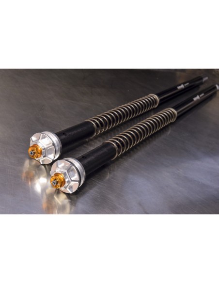 Escape Yamaha Tdm 900 2002 - 2014 Ref. Y.014.LXB