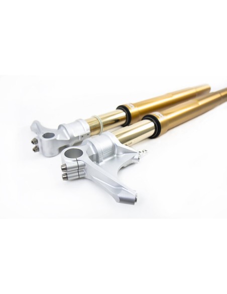 Escape Honda Cbr 600 Fs 2001 - 2003 Ref. H.014.L2S