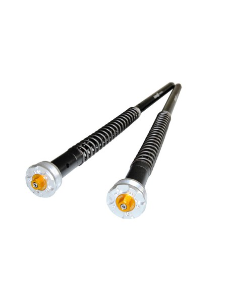 Escape Aprilia Dorsoduro 1200 2012 - 2016 Ref. A.010.L9