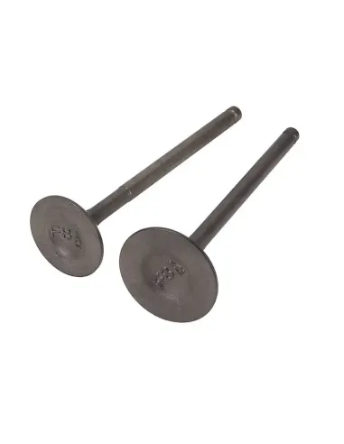 VALVULAS COMPLETA MAXISCOOTER SYM FIDDLE 3 / JET 14 / SYMPHONY ST 125-200CC E4 4TPS 125CC