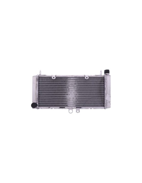 RADIADOR AGUA HONDA CBF 600 N