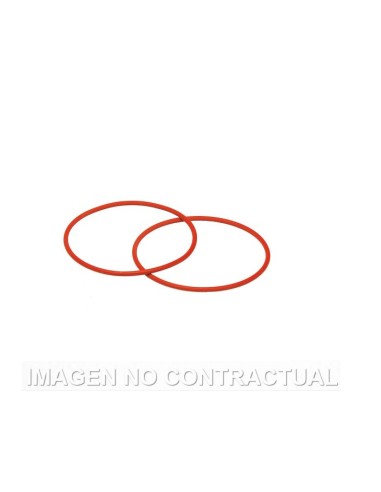 Juntas tóricas Malossi para semipoleas de embrague