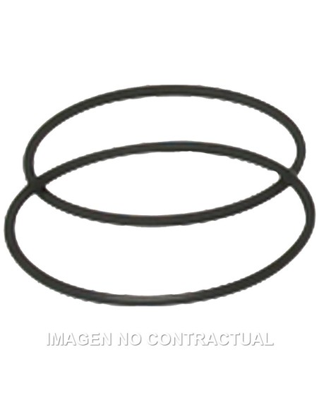 Juntas y racord escape Malossi cilindros Big Bore