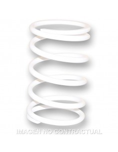 MUELLE POLEA CONDUCIDA RUNNER