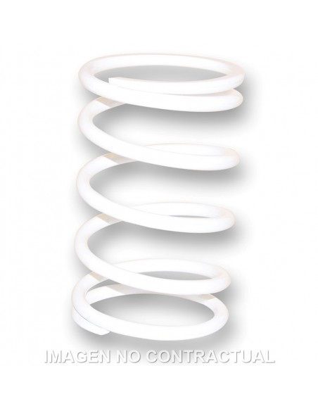 MUELLE POLEA CONDUCIDA RUNNER