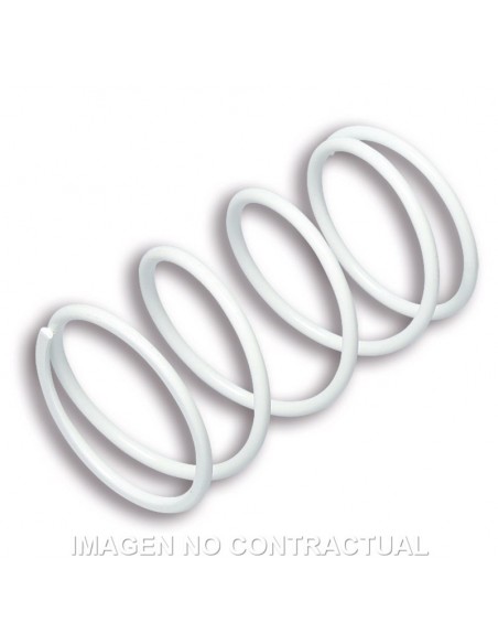 MUELLE DE POLEA CONDUCIDA