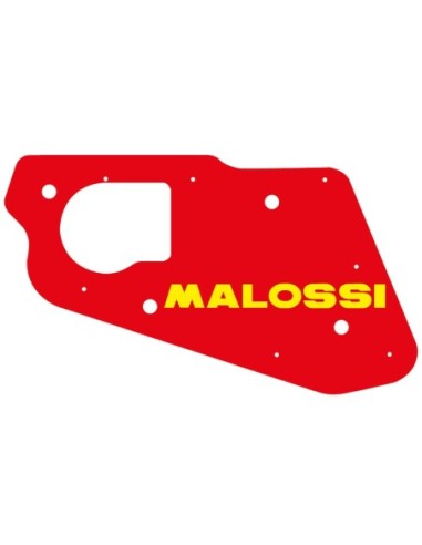 Filtro Aire Malossi Amico, SR 50