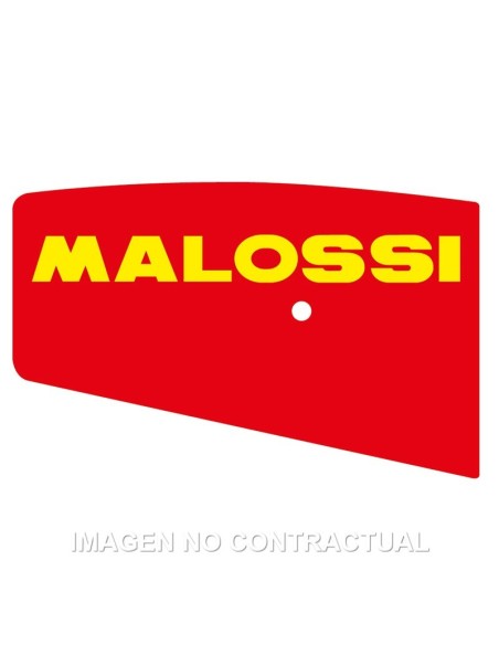 Filtro Aire Malossi X8R 50