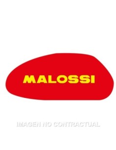 Filtro Aire Malossi Majesty 250, Leonardo 250