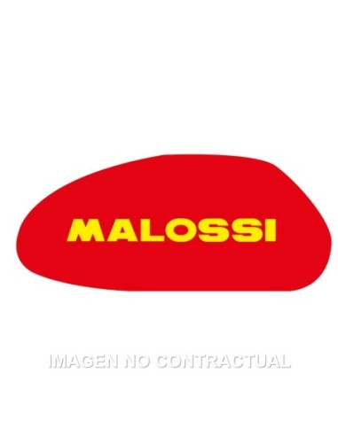 Filtro Aire Malossi Majesty 250, Leonardo 250