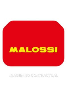 Filtro Aire Adaptable Malossi Suzuki Burgman 400