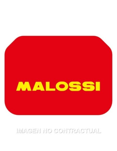 Filtro Aire Adaptable Malossi Suzuki Burgman 400