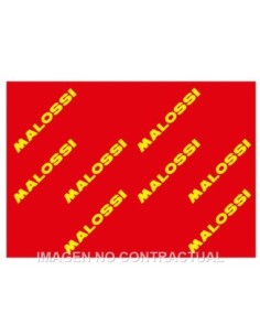 Hoja elemento filtrante Malossi Red Sponge