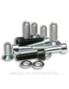 Tornillería Encendido Rotor Interno Piaggio