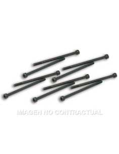 Tornillos Fijación Pinzas Variador Malossi Competición