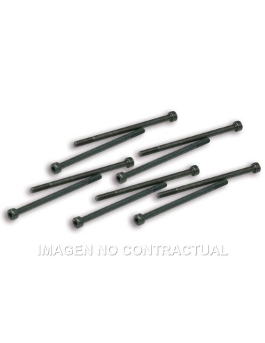 Tornillos Fijación Pinzas Variador Malossi Competición