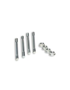 ESPARRAGOS MALOSSI CILINDRO TESTA ROSSA D 94