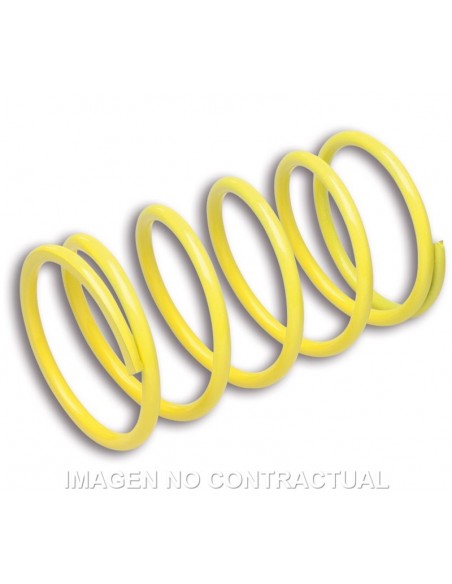 MUELLE POLEA CONDUCIDA