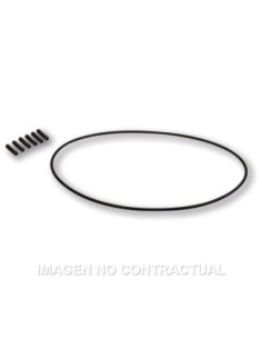 Tornilleria Encendido Malossi Vespower 5517175