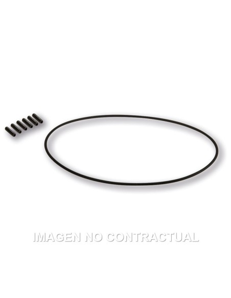 Tornilleria Encendido Malossi Vespower 5517175