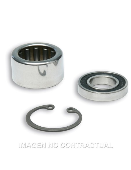 Kit De Revisión Para Poleas Malossi 619733