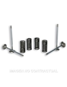Válvulas t Stroke Malossi C/ Muelles Motor Piaggio Leader