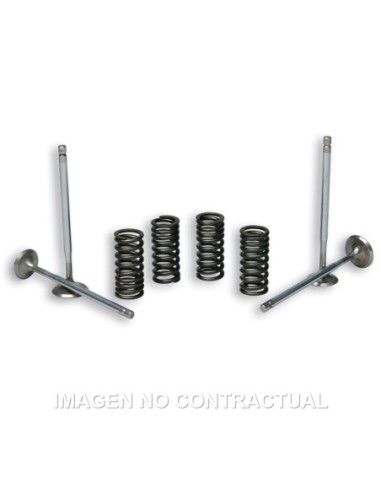 Válvulas t Stroke Malossi C/ Muelles Motor Piaggio Leader