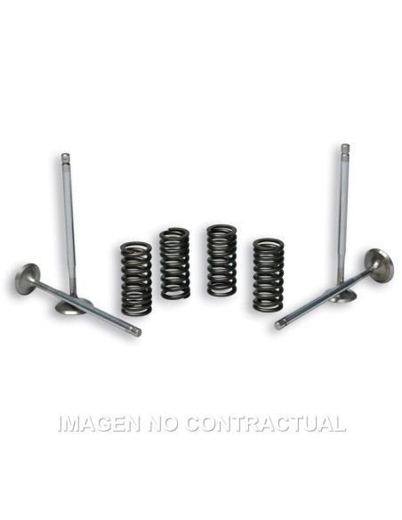 Válvulas t Stroke Malossi C/ Muelles Motor Piaggio Leader