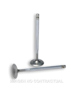 Válvulas aspiración culata Malossi