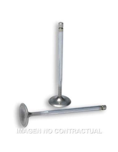 Válvulas aspiración culata Malossi