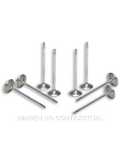 Válvulas Malossi Culata Original Yamaha T-Max 500