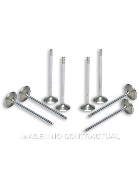 Válvulas Malossi Culata Original Yamaha T-Max 500