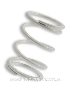 Muelle Polea Conducida Blanco Foresight 250