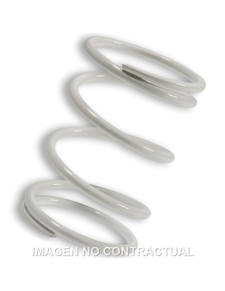 Muelle Polea Conducida Blanco Foresight 250