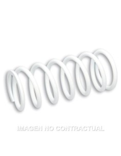 Muelle Reforzado Amortiguador Delantero RS24 Malossi