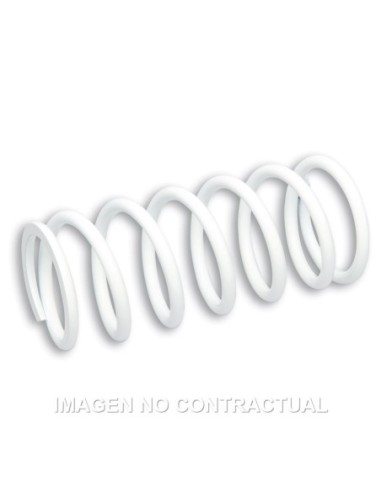 Muelle Reforzado Amortiguador Delantero RS24 Malossi